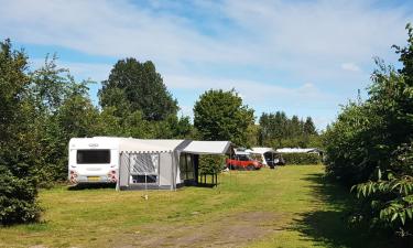 Lente van Drenthe kamperen comfort